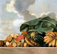 Bananas, goiaba, and other fruits, Albert Eckhout