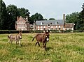 Ânes devant la ferme de Beaumer.