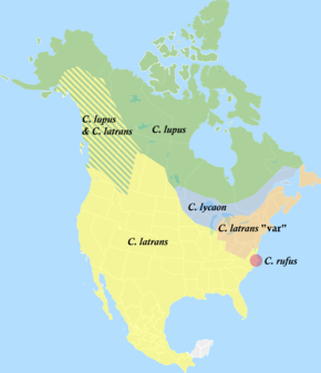 Description de l'image Distribution of North American Canis 2.png.