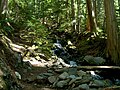 Image 11Garibaldi Provincial Park, British Columbia (from Forest)