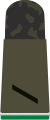 Mounting loop Gefreiter OA (Army Private OA, Mechanized Infantry Corps, field uniform)
