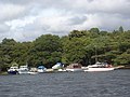 Boats moored in a bay with trees in the background