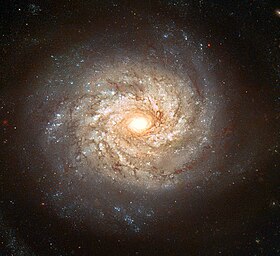 المجرة حلزونية NGC 3982