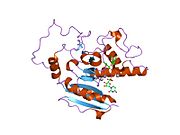 1lzj: Glycosyltransferase B + UDP + H antigen acceptor