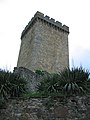 Torre da homenaxe.