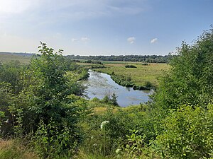 Річка Стрипа біля села Сокільники