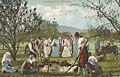 Image 4A lamb roast and "kolo" (circle) dancing - Bosnia and Herzegovina, 1895 (from Culture of Bosnia and Herzegovina)