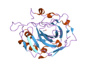 2hfw: Structural and kinetic analysis of proton shuttle residues in the active site of human carbonic anhydrase III