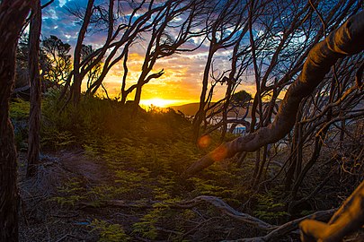 Soleil couchant sur Granite Beach en Tasmanie. Novembre 2017.