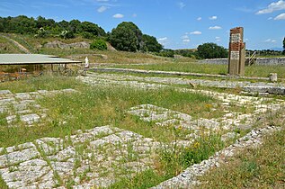 The Roman forum