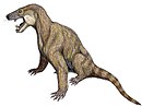 Trucidocynodon riograndensis