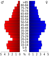 Bevolkingspiramide Roanoke County