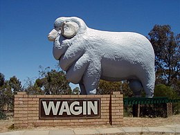 Wagin – Veduta