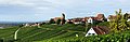  Panoramic view of Ötlingen from the southeast; the hilly landscape is typical for the region of Markgräflerland