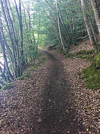 Le sentier de randonées entre la plage de Fougères (36) et le pont de Crozant (23), en 2017.