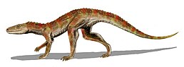 Hesperosuchus