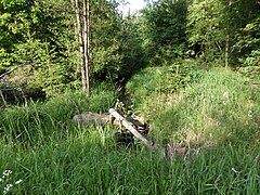 Langwassergraben am Hutbruckweg