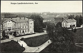 Norges Landbrukshøiskole, Aas, 1919