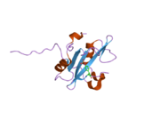 2iuh: CRYSTAL STRUCTURE OF THE PI3-KINASE P85 N-TERMINAL SH2 DOMAIN IN COMPLEX WITH C-KIT PHOSPHOTYROSYL PEPTIDE