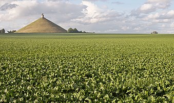 La butte du Lion dominant la plaine de la bataille de Waterloo à Braine-l'Alleud, dans la province du Brabant wallon. (définition réelle 3 968 × 2 367)