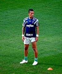 Lucas Barrios Palmeiras 2015.jpg