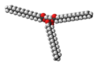 Space-filling model of the tristearin molecule{{{画像alt1}}}