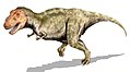 Тиранозавр був 12-ти метровим хижим динозавром крейдового періоду