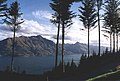 Wakatipu