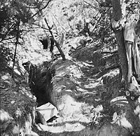 Abandoned earthworks on a tree covered slope. Clothing and other debris can be seen in the trenches and in the trees, strewn haphazardly.