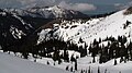 Hurricane Ridge