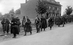חיילים בלגים בשבי הגרמני