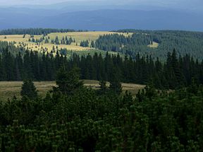 Nationalpark Călimani