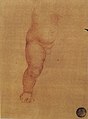 Study for the Infant's leg (1502-1503) in Venice, Gallerie dell'Accademia