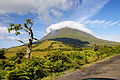 Ponta do Pico