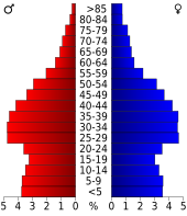 Bevolkingspiramide Mecklenburg County