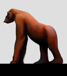 Gigantopithecus