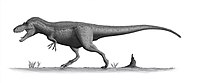 שחזור של דספלטוזאורוס
