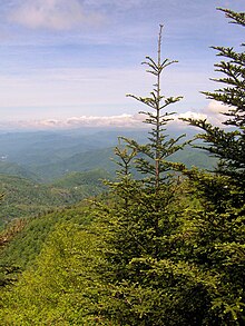 Waterrock-knob-fraser-fir-nc1.jpg