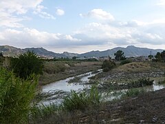 Desembocadura del Guadalentín