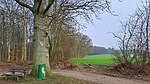 Rastplatz am Rand des Klosterforstes Preetz