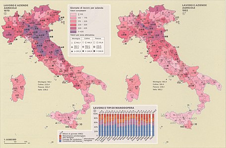 Lavoro e aziende agricole nel 1970 e 1982: giornate di lavoro per azienda e (in basso) tipi di manodopera.[52]