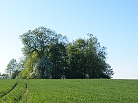 Buv. kapinės Lenkijos Gurų k. (lenk. Góry, Varmijos Mozūrų vaivadija), kuriose yra Voplaukio mūšio atminimo lenta ir akmuo.