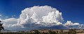 Cumulonimbus capillatus