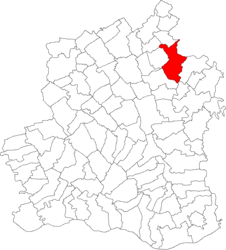 Location in Teleorman County