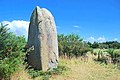 Menhir de Kermaillaud