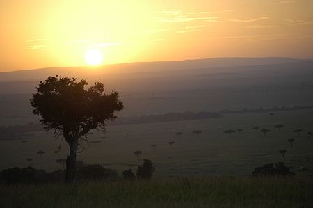 Safari Sunrise at Masai Mara