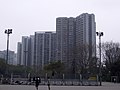 泰東樓、富東樓、裕東樓、貴東樓（2008年3月）