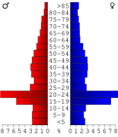 Bevolkingspiramide Adair County