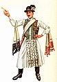 Image 10A vőfély in traditional costume, c. 1885 (from Culture of Hungary)