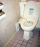 A Japanese western-style toilet with bidet